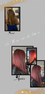 Photo de galerie - .