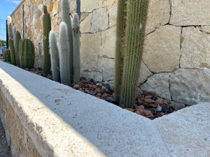 Photo de galerie - Jardinière en travertin et plantation de cactus 
