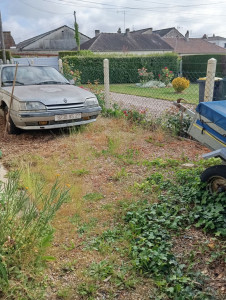 Photo de galerie - Matinée désherbage tontes débroussaillage 