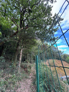 Photo de galerie - Remontage branches clôture