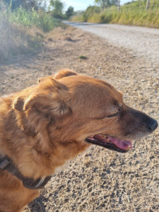 Photo de galerie - Lucky, du 24 au 28 août 2026.