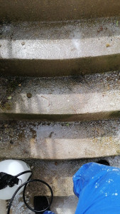 Photo de galerie - Bricolage et multi services