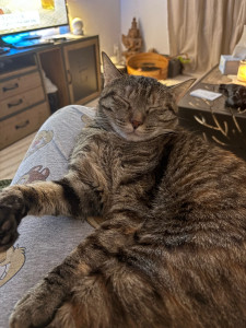 Photo de galerie - ?