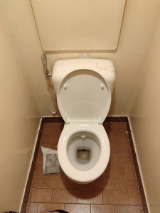 Photo de galerie - Remplacement d'un réservoir de WC + cuvette WC 