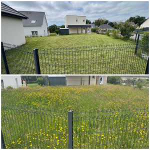 Photo de galerie - Tonte 