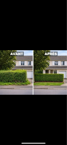 Photo de galerie - Taille haies