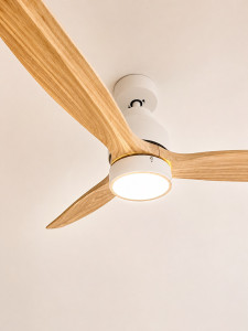 Photo de galerie - Montage et pose d’un ventilateur de plafond 