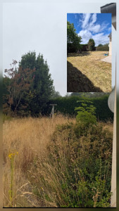 Photo de galerie - Remise à propre du terrain 