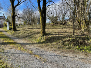 Photo de galerie - Paysagiste - Aménagement du jardin