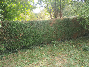 Photo de galerie - Après 