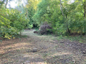 Photo de galerie - Tonte de pelouse - Débroussaillage
