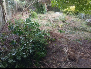 Photo de galerie - Une grande quantité de déchets verts a été évacuée  le terrain est enfin libéré et propre.

