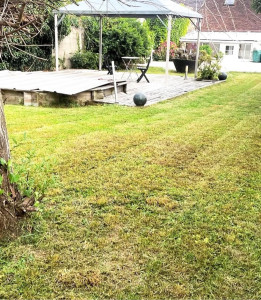 Photo de galerie - Entretien de jardin 