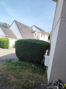 Photo de galerie - Taie de petite haie, matériel électrique.. 