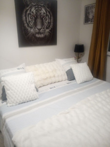 Photo de galerie - Voilà ma chambre j'espère que vous comprenez que je peux pas monter les logements de mes clientes merci beaucoup 