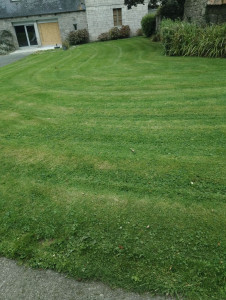 Photo de galerie - Tonte pelouse 