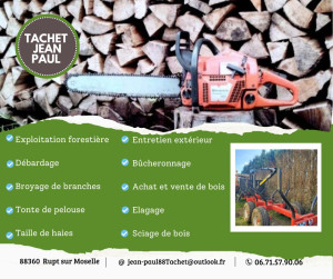 Photo de galerie - Présentation globale de mon activité 