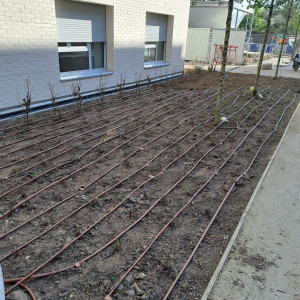 Photo de galerie - Paysagiste - Aménagement du jardin