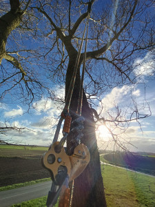 Photo de galerie - Grimpe sous le soleil