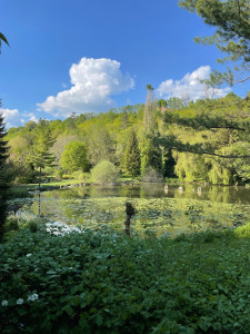 Photo de galerie - Entretien d’espace vert