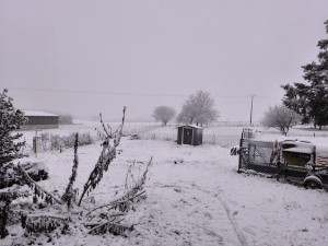 Photo de galerie - Déneigement 