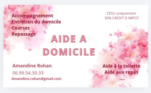 Photo de galerie - Aide a domicile 
CESU uniquement 