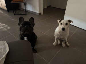 Photo de galerie - Les copains