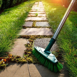 Photo de galerie - Disponible immédiatement 