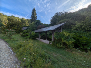 Photo de galerie - Débroussaillage 