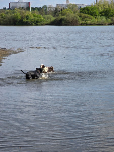Photo de galerie - Chaleur chaleur = balade rafraîchissante 