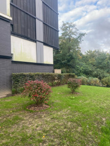 Photo de galerie - Tonte de pelouse - Débroussaillage