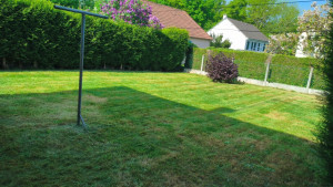 Photo de galerie - Chantier tonte 
