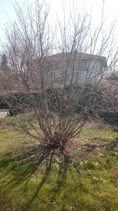 Photo de galerie - Avant 