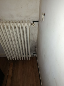 Photo de galerie - Le mur est rempli de moisissures.
Avant nettoyage.
