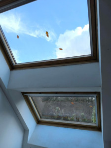 Photo de galerie - Nettoyage Velux