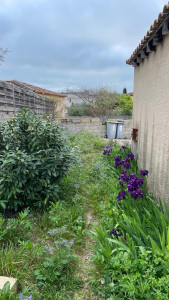 Photo de galerie - Tonte de pelouse - Débroussaillage