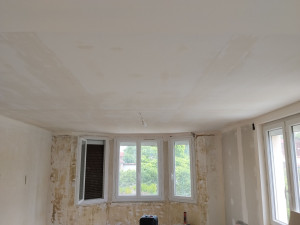 Photo de galerie - Ratissage totalité du plafond 