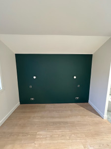 Photo de galerie - Peinture vert sombre