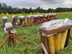 Photo de galerie - Pyrotechnie agrémenté 