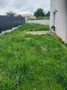 Photo de galerie - Tonte de pelouse - Débroussaillage