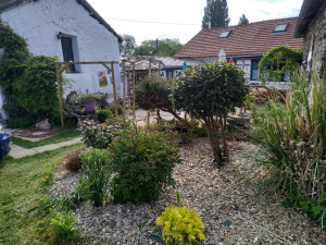 Photo de galerie - Réamenagement d'un massif comportant des arbustes et vivaces deja présents, j ai rajouté certaines vivaces et mis en place un paillage en copeaux de bois.