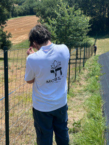 Photo de galerie - Pose grillage autour de propriété 