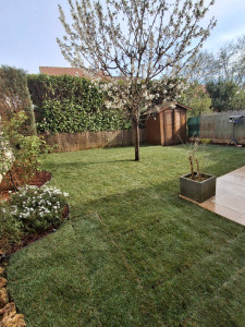 Photo de galerie - Après aménagement avec Pose de rouleaux de gazons et Décaissement 