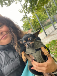 Photo de galerie - Garde chien