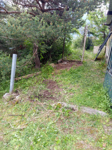 Photo de galerie - Débroussaillage enlevement déchet 