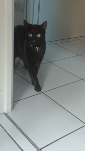 Photo de galerie - Zeytin 