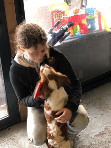 Photo de galerie - J’étais en stage dans un élevage pour chien.