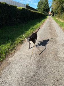 Photo de galerie - Switch en balade☺️