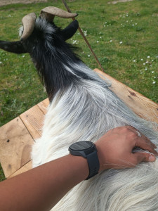 Photo de galerie - Médecine douce