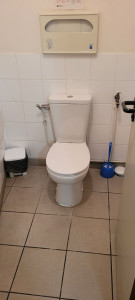 Photo de galerie - Remplacement toilette complet chez un client 